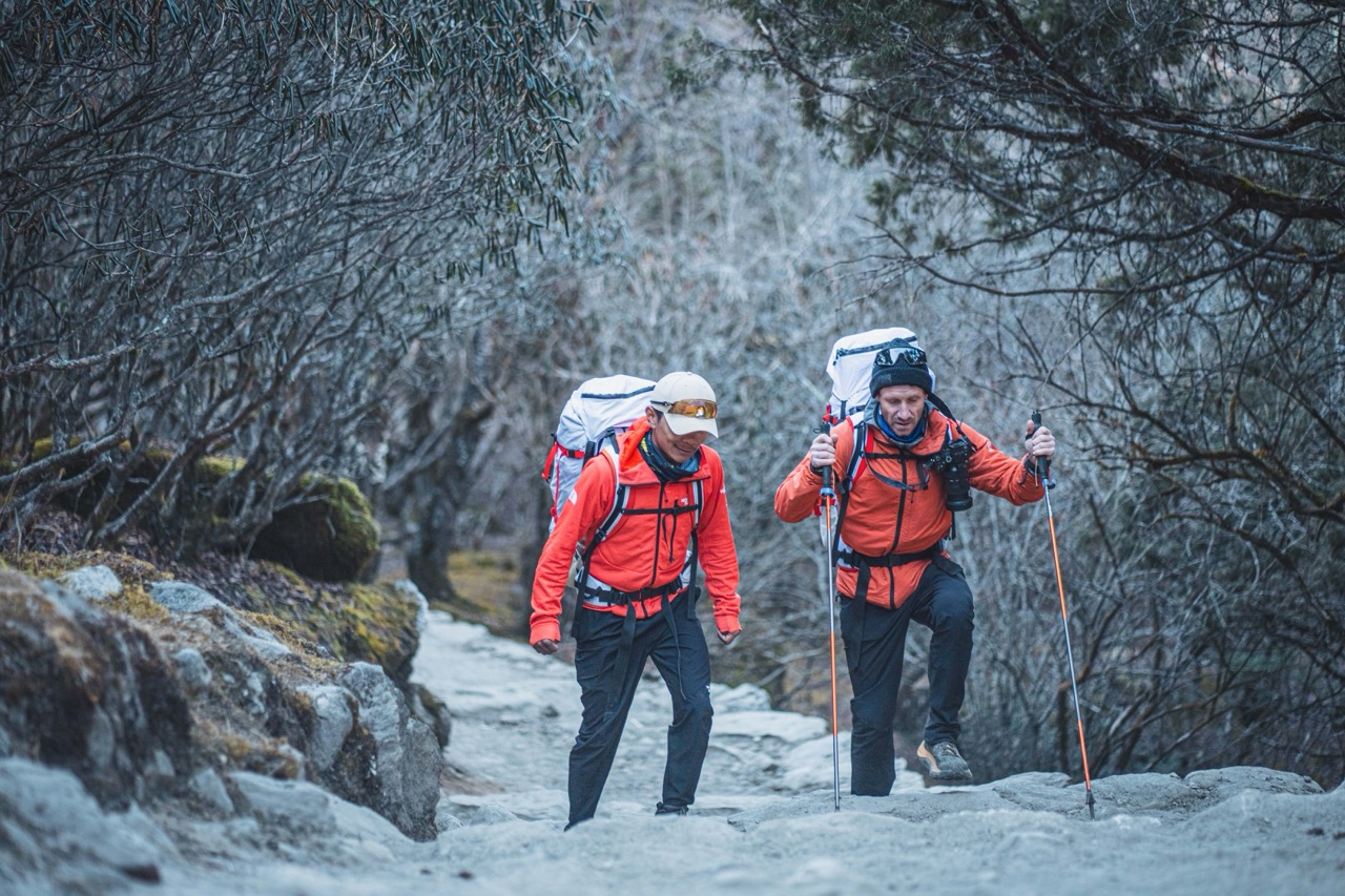 Two climbers walking a stone trail through rhododendron forest